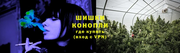 ПСИЛОЦИБИНОВЫЕ ГРИБЫ Аркадак