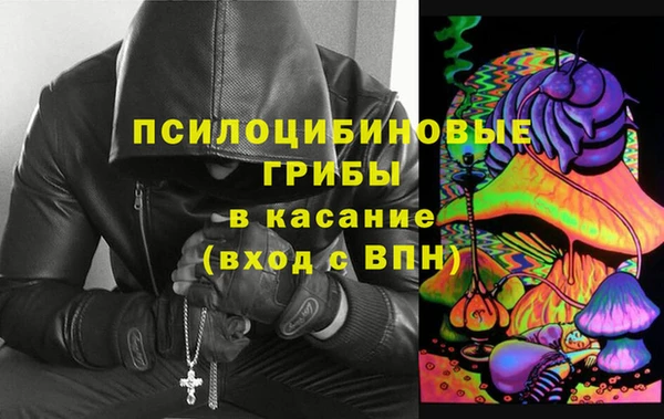 ПСИЛОЦИБИНОВЫЕ ГРИБЫ Аркадак